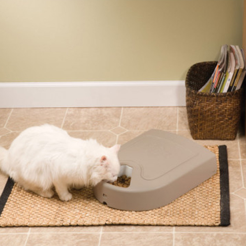 Gato comiendo en comedero automático de 5 porciones de Boxer Security.