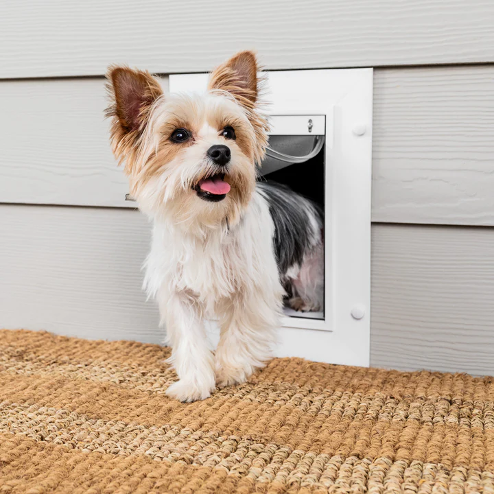 Perro pequeño saliendo por una puerta de seguridad para mascotas instalada en el hogar.