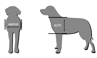 Guía para medir el ancho y alto de un perro, necesaria para elegir productos de seguridad y accesorios de Boxer Security.
