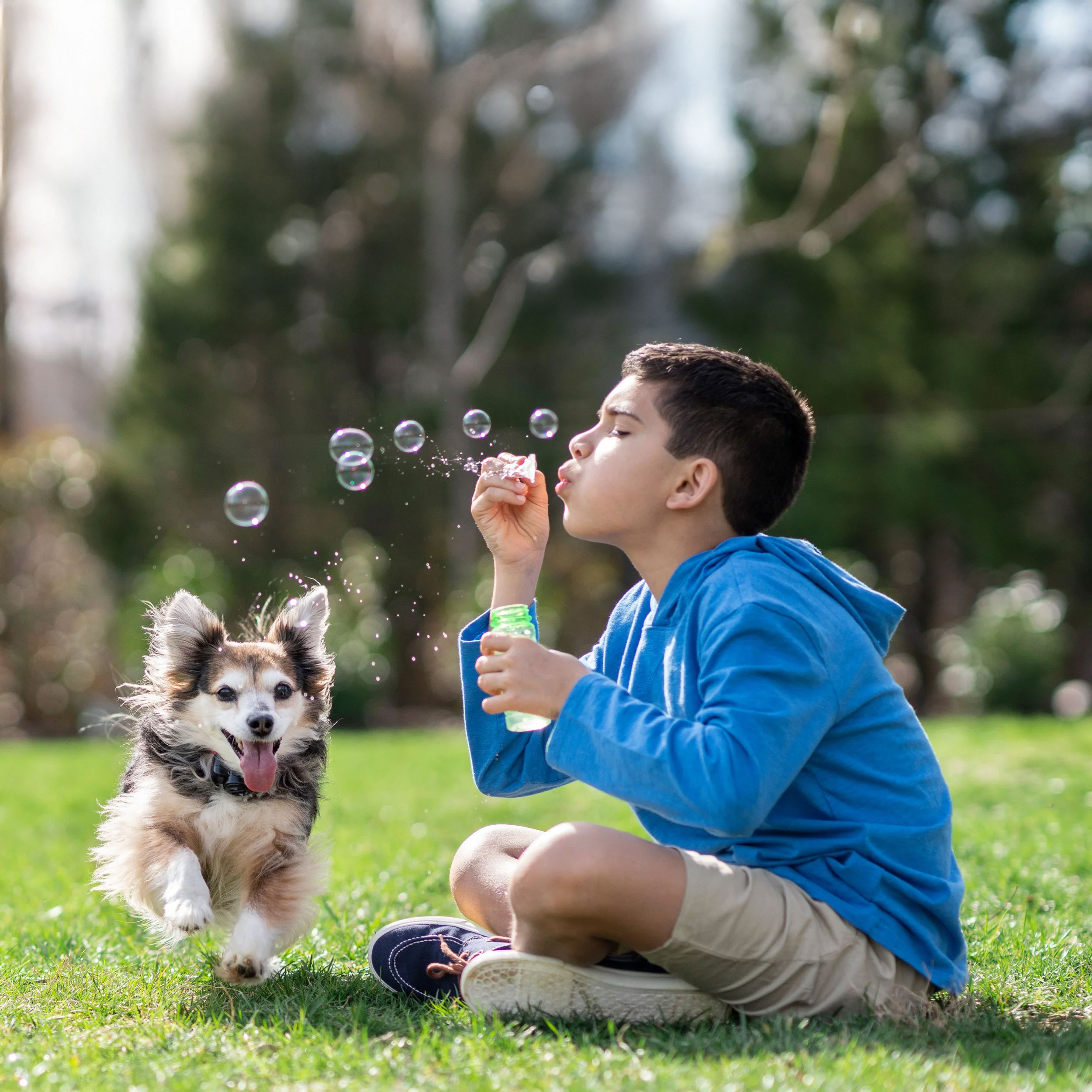 Niño jugando con su perro en un parque seguro gracias a sistemas de contención Boxer Security.